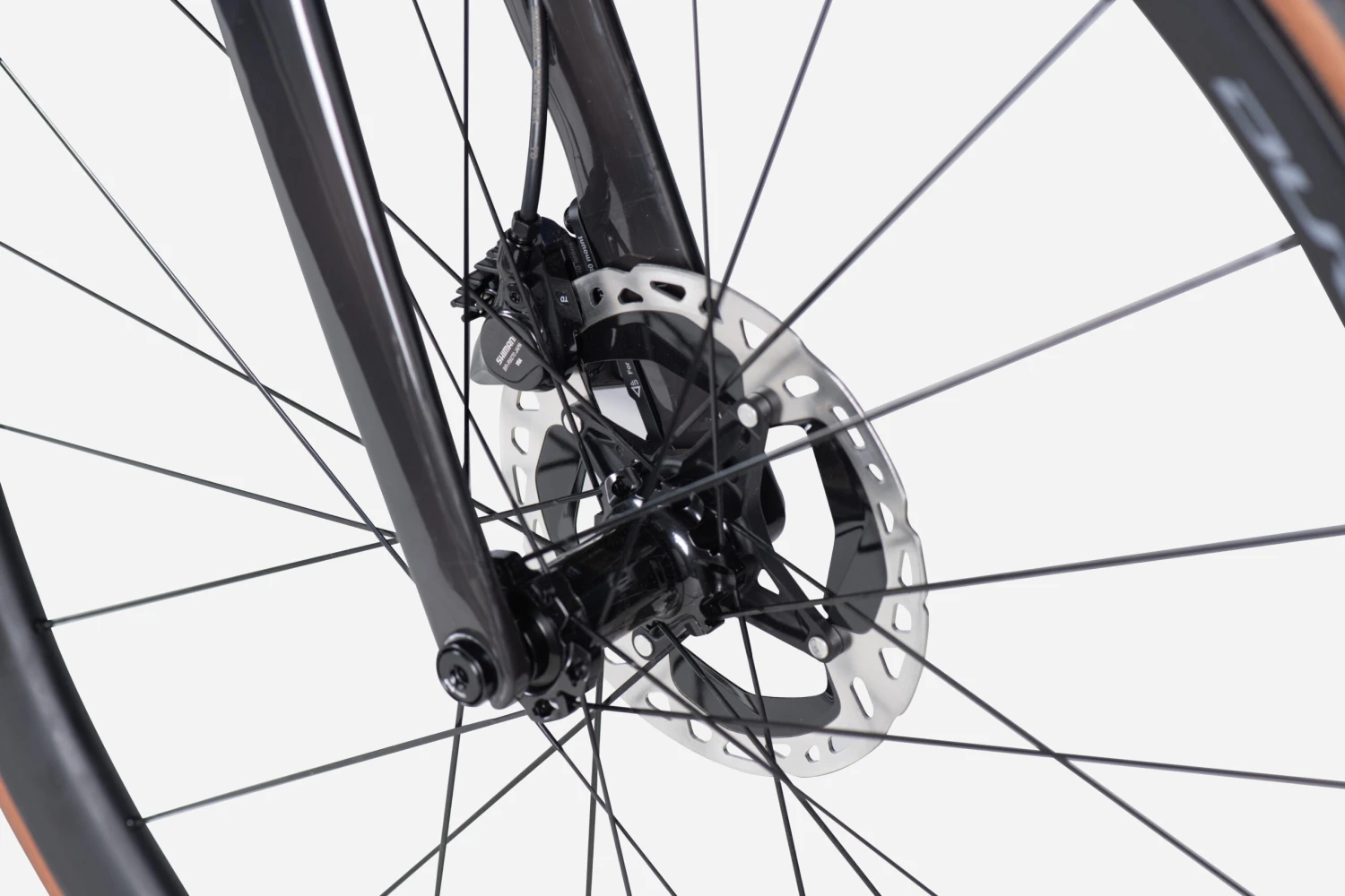 LAPIERRE XELIUS SL 75th 14 LAPIERRE XELIUS SL 75th - Imagen 14